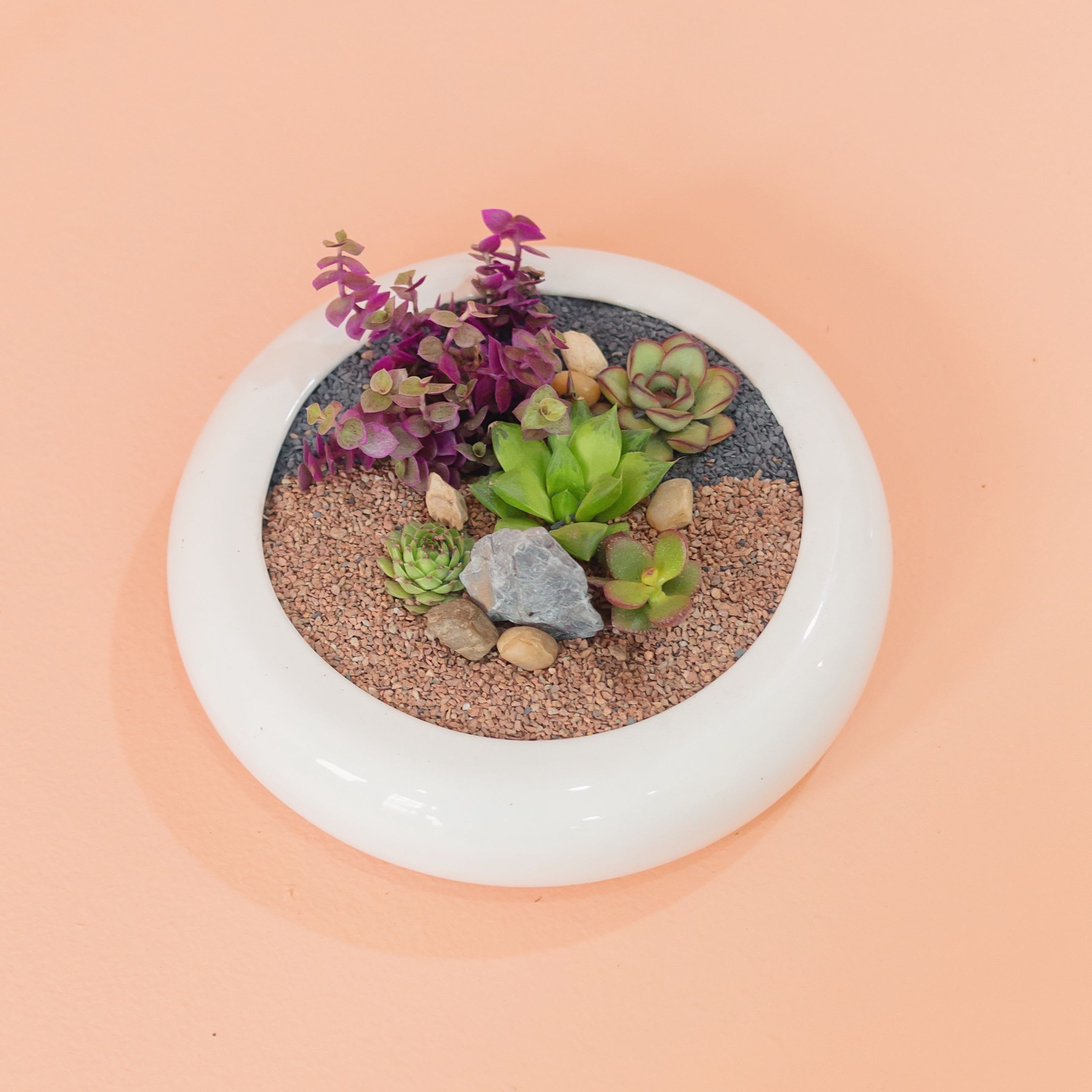 Base Apis - Imagen 3